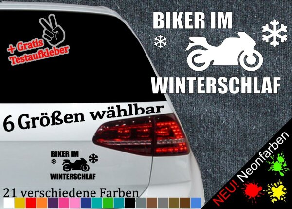Biker Winterschlaf